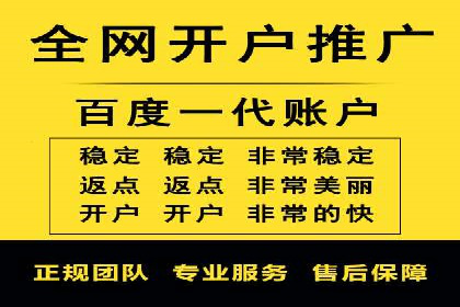 XX领域竞价广告的投放策略及效果展示